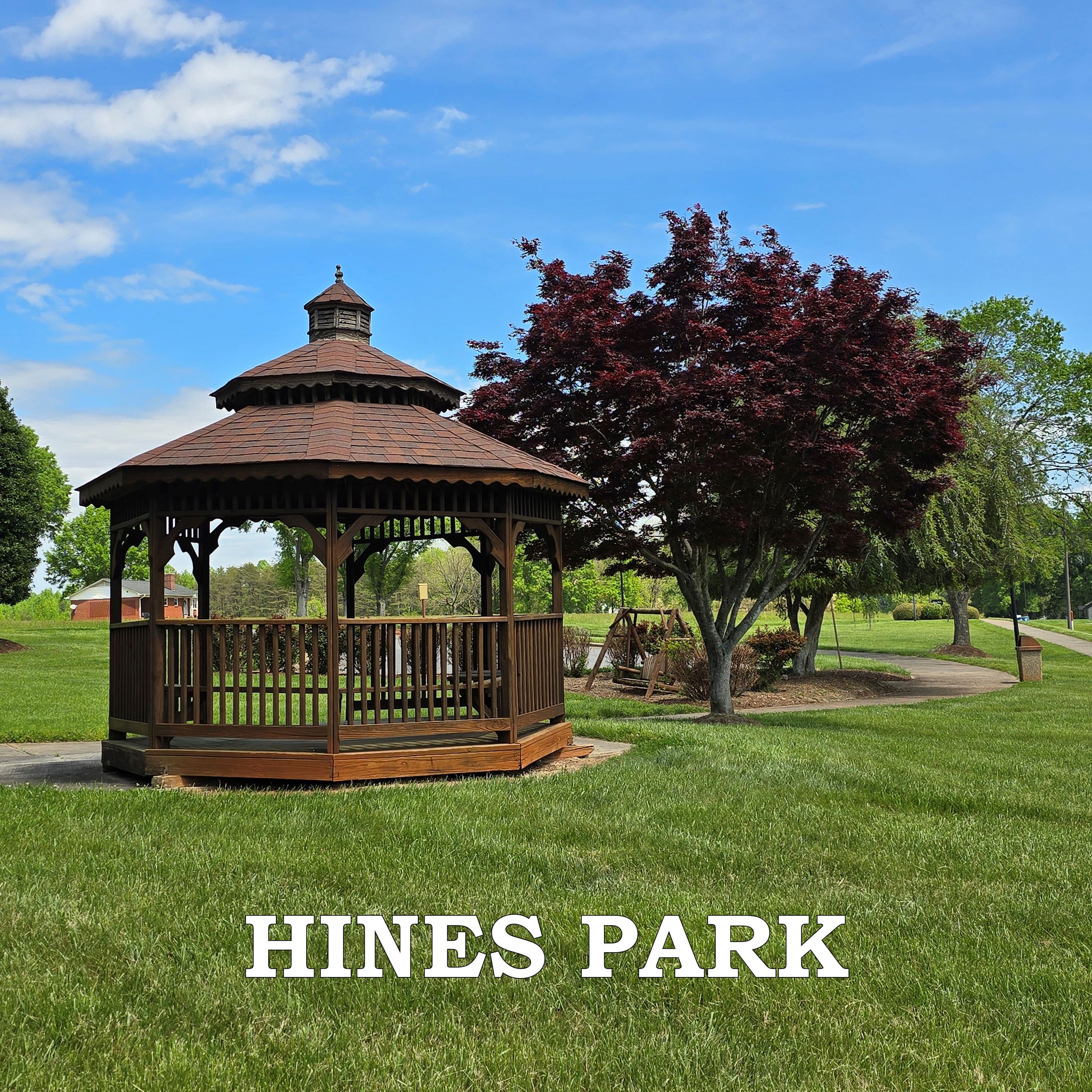 Hines Park (JPG)